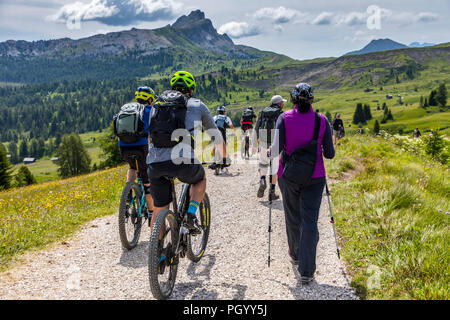 L'Italia, Alto Adige, Trentino, il Piz La Ila altopiano vicino a Stern / La Villa, prato alpino, escursionista mountain biker sullo stesso percorso, Foto Stock