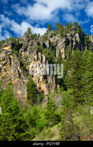 Canyon pendio sopra Rock Creek, Lolo National Forest, Montana Foto Stock