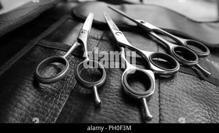 Forbici Foto Stock