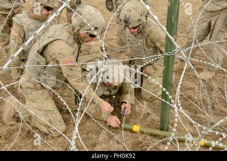 Pfc. Andrew Taylor di esercito di riserva ingegnere 321Battaglione innesca un M1A3 Bangalore siluro sotto la direzione di due sergenti come parte di demo violazione operazioni per la 116Brigata di cavalleria contro del Team esportabili combattere la capacità di formazione a rotazione il frutteto Combat Training Center, il Boise, Idaho, 15 giugno 2018. Taylor è in posizione prona per simulare essendo sotto il fuoco. Foto Stock