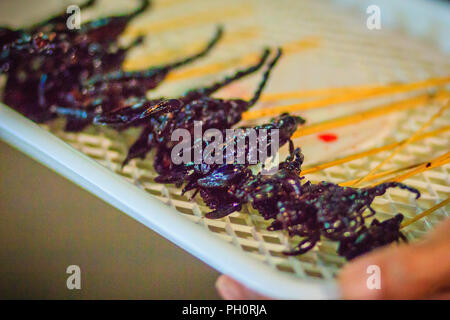 Produttore tailandese è la vendita di scorpione arrosto su strada a Bangkok il mercato notturno, Thailandia. Foto Stock
