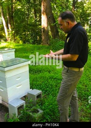 Lt. Col. Tim Doherty spiega che cosa i soldati ricevano nella sua apicoltura programma al suo apiario in Dunwoody, Georgia. ( Foto Stock