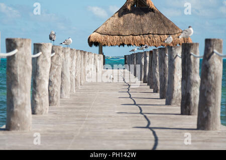 Vista oceano da un molo con i gabbiani arroccato su entrambi i lati di esso e un tetto di erba alla fine. Foto Stock