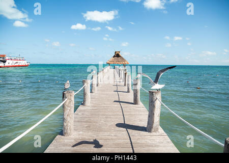 Vista oceano da un molo con i gabbiani arroccato su entrambi i lati di esso e un tetto di erba alla fine. Foto Stock