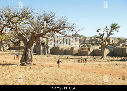 Il baobab a Sangha in Bandiagara scarpata. Paese Dogon. Mali, Africa occidentale Foto Stock