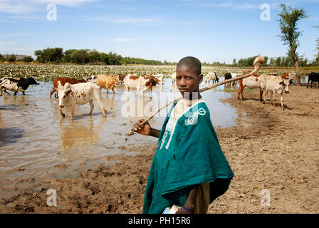 Fula (Peul) pastore vicino a Douentza. Mali, Africa occidentale Foto Stock