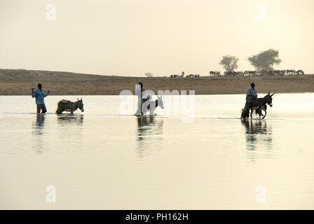 Bani attraversamento fluviale sul giorno di mercato settimanale, lunedì. Djenné, un sito Patrimonio Mondiale dell'Unesco. Mali, Africa occidentale Foto Stock