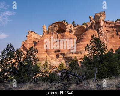 Le pareti del canyon Rattlesnake, cresta nera area selvaggia, McInnis Canyon National Conservation Area, Grand Junction, Colorado. Foto Stock