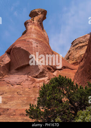 Le pareti del canyon Rattlesnake, cresta nera area selvaggia, McInnis Canyon National Conservation Area, Grand Junction, Colorado. Foto Stock