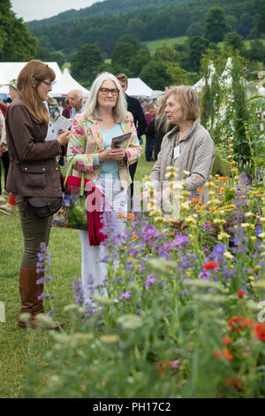 Vista persone piante fiorite in letto sollevata (lungo confine competition) a occupato showground rurale - RHS Chatsworth Flower Show, Derbyshire, Inghilterra, Regno Unito. Foto Stock