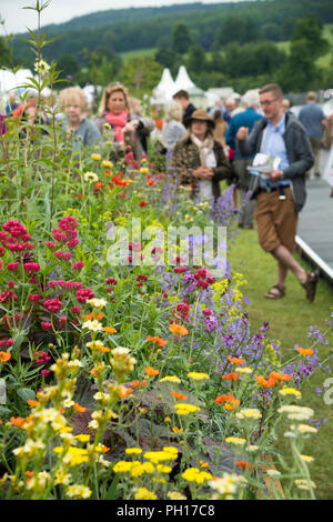Vista persone piante fiorite in letto sollevata (lungo confine competition) a occupato showground rurale - RHS Chatsworth Flower Show, Derbyshire, Inghilterra, Regno Unito. Foto Stock