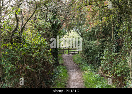 Un di legno basso livello stile sul paese un percorso per escursionisti per attraversare un confine mentre passeggiate. Stile aveva una freccia gialla segno indicante il sentiero pubblico. Foto Stock