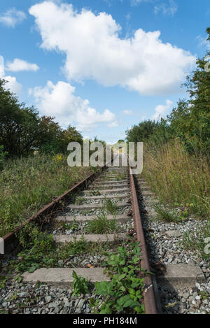 La ricoperta, filiale in disuso le linee ferroviarie nei pressi di Fleetwood in Lancashire in un assolato pomeriggio di estate. I piani sono in atto per ripristinare e riaprire. Foto Stock