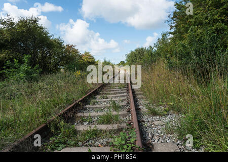 La ricoperta, filiale in disuso le linee ferroviarie nei pressi di Fleetwood in Lancashire in un assolato pomeriggio di estate. I piani sono in atto per ripristinare e riaprire. Foto Stock