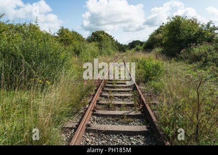 La ricoperta, filiale in disuso le linee ferroviarie nei pressi di Fleetwood in Lancashire in un assolato pomeriggio di estate. I piani sono in atto per ripristinare e riaprire. Foto Stock