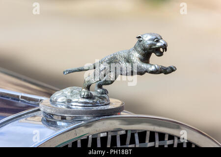 Jaguar radiatore o la mascotte del cofano Foto Stock