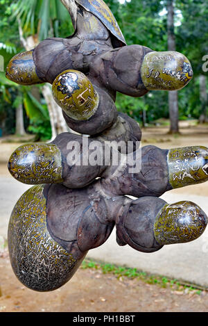 Doppio albero di cocco, Kandy, Sri Lanka. Foto Stock