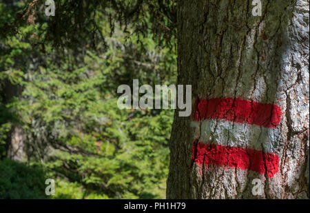 Austrian escursionismo blaze o segnavia, Austria, Europa Foto Stock