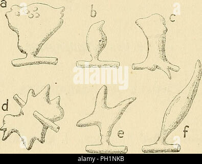 'Les zoocécidies des plantes d'Afrique, d'Asie et d'Océanie : descrizione des galles, illustrazione, bibliographie détaillée, répartition géographique, indice bibliographique" (1922) Foto Stock