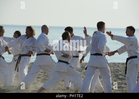 Gruppo di karateki shotokan praticare in spiaggia al sole del mattino Foto Stock