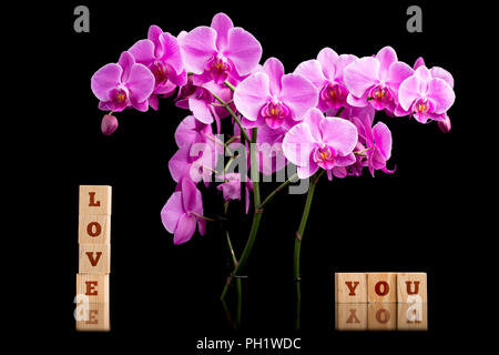 Amore tenero è lo sfondo con un bel bouquet di magenta phalaenopsis orchidee su uno sfondo scuro con le parole - ti amo - su blocchi di legno. Foto Stock