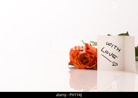 Unico Arancione Rosa giacente su di una superficie bianca riflettente con un regalo manoscritta tag dicendo con amore con copyspace per il tuo San Valentino, anniversario M Foto Stock