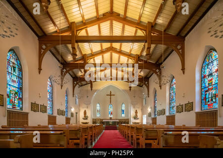 St di Helsinki la cattedrale di Enrico, Cattedrale di Saint Henry, Pyhän Henrikin Katedraali. Cattedrale cattolica romana a Helsinki in Finlandia. Foto Stock
