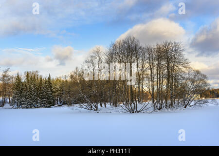 Congelati big pond in Catherine park a Tsarskoe Selo in inverno. Pushkin town. San Pietroburgo. La Russia Foto Stock