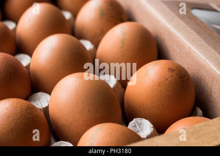 Codice di marcatura numeri stampati sulle uova con Package / contenitore. Industria alimentare. Foto Stock