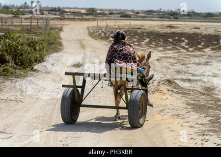 KAYAR, SENEGAL - Apr 27, 2017: Non identificato ragazzo senegalese scorre un carrello con un asino in un bel villaggio vicino Kayar, Senegal Foto Stock