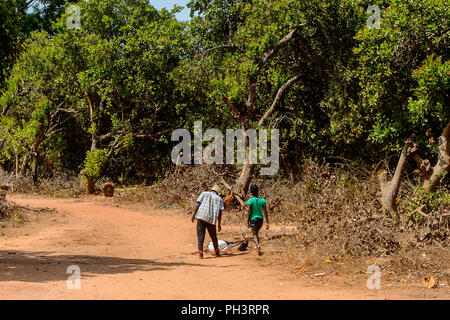 Strada di BISSAU GUINEA B. - 1 Maggio 2017: locale non identificato l uomo e la donna a piedi accanto alla strada in un villaggio in Guinea Bissau. Ancora molte persone in Foto Stock