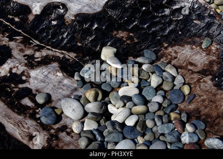 Pietre sulla spiaggia su una lavata fino tronco di albero Foto Stock