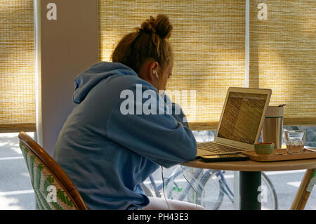 Giovane donna fissando un computer portatile schermo mentre seduti a un tavolo in una caffetteria Foto Stock