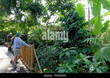 I turisti all'interno del Bloedel Conservatory in Queen Elizabeth Park, Vancouver, BC, Canada Foto Stock