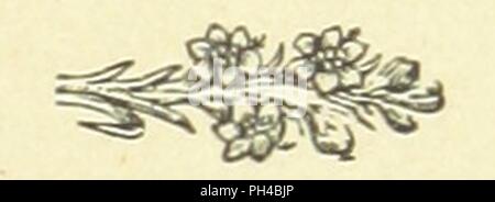 Immagine dalla pagina 91 di 'Il libro di compleanno di citazioni e autografo Album. Estratti in inglese, francese e tedesco, principalmente dagli autori standard, etc' . Foto Stock