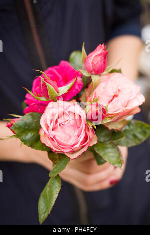 Primo piano di un bel bouquet di rose rosa nella donna con le mani in mano. Sfondo scuro. Fiori freschi come presente da un giardino. Foto Stock