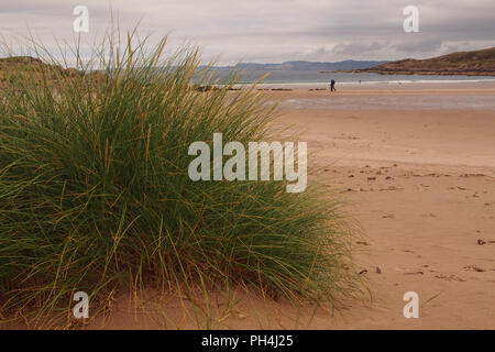 Una vista guardando verso il mare sulla spiaggia Achnahaird, Scozia, con un uomo a piedi dal bordo delle acque nella distanza e un gran ciuffo di erba Marram Foto Stock