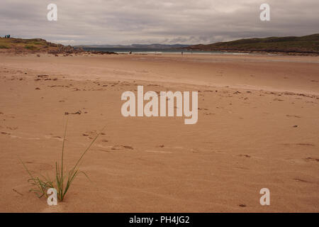 Una vista guardando verso il mare sulla spiaggia Achnahaird, Scozia, con persone a bordo delle acque e un piccolo agglomerato di Marram erba in primo piano Foto Stock