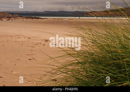 Una vista guardando verso il mare sulla spiaggia Achnahaird, Scozia, con uomo a bordo delle acque e un gran ciuffo di erba Marram in primo piano Foto Stock