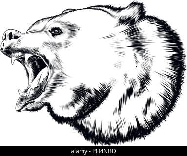 Mano bozzetto di recare in isolato nero su sfondo bianco. Dettagliato in stile vintage disegno. Illustrazione Vettoriale Illustrazione Vettoriale
