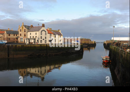 La contenti unico ristorante sulla banchina del porto di Eyemouth, Scotland, Regno Unito Foto Stock