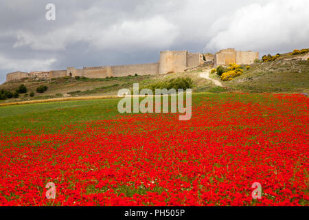 Lo spagnolo medievale cinto da mura di Uruena nella regione di Valladolid Castiglia y Leon in Spagna è conosciuta come Villa del Libro la città di libri Foto Stock