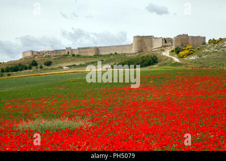 Lo spagnolo medievale cinto da mura di Uruena nella regione di Valladolid Castiglia y Leon in Spagna è conosciuta come Villa del Libro la città di libri Foto Stock