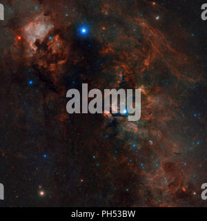 La costellazione del Cigno visto da Palomar, con l'America del nord Nebula, gamma Cygni Nebula, Deneb, il Crescent e altri gioielli galattico Foto Stock