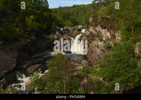 Rogie Falls, Contin, Highland, Scotland, Regno Unito Foto Stock