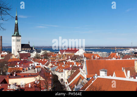 Città vecchia di Tallinn Centro sulla soleggiata giornata estiva Foto Stock