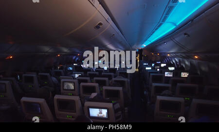 Camomiles bianco sul campo in estate una giornata di sole. Foto Stock