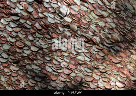 Il Money Tree lungo la cascata Ingleton sentiero dove i visitatori un martello di monete in una struttura ad albero e fare un augurio di buona fortuna. Foto Stock