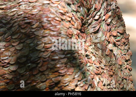 Il Money Tree lungo la cascata Ingleton sentiero dove i visitatori un martello di monete in una struttura ad albero e fare un augurio di buona fortuna. Foto Stock