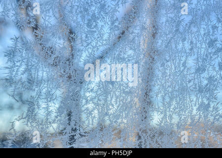 Bella Inverno gelido mattino di sfondo - glassa di modello di vetro per finestra close up Foto Stock